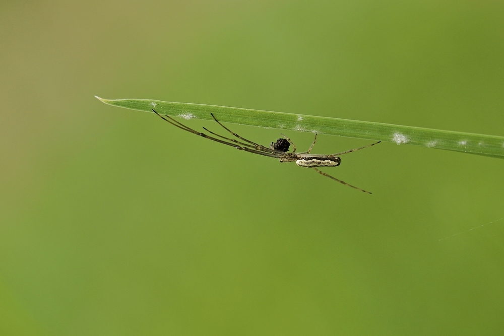 2G6A6325.JPG