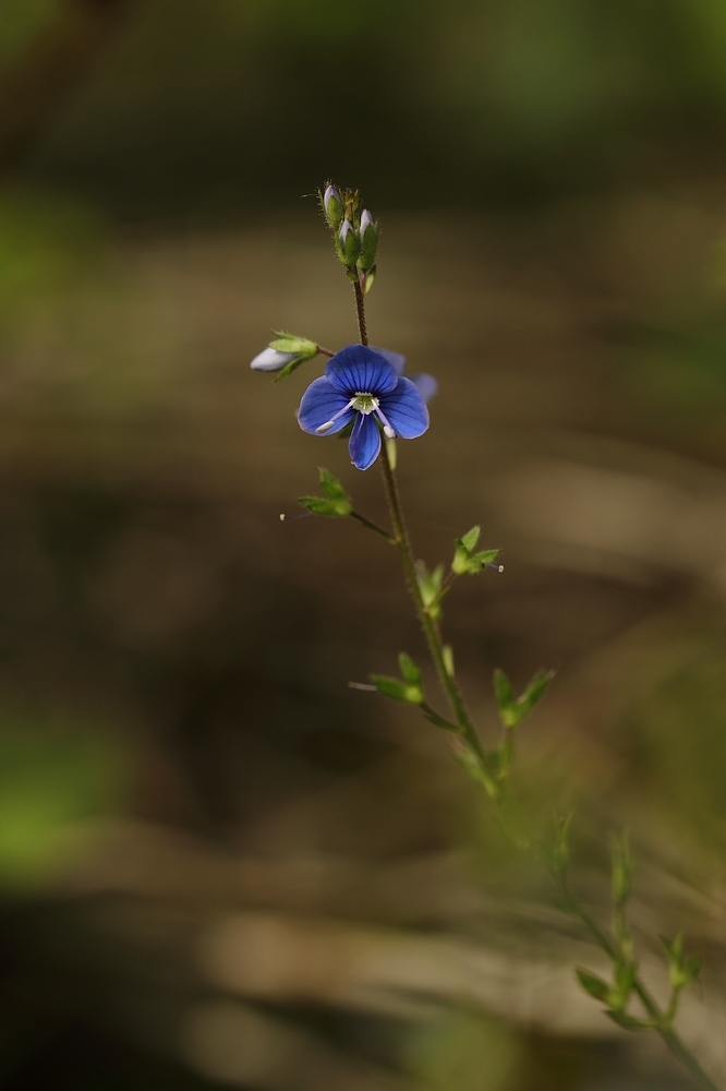 2G6A6342.JPG