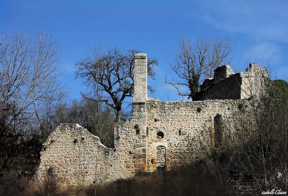 59808e128f0f1_SaltenDonzy9ruines.jpg