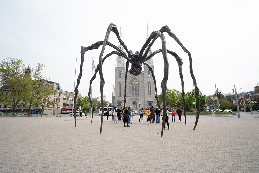 DSD01223-2web.jpg.bf391f29b42ba482c0c7799d6a2295b9.jpg