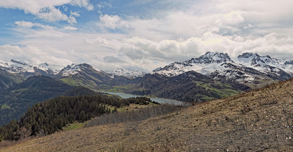[Group 0]-MHA02461-RAF_DxO_DeepPRIMEXD_MHA02471-RAF_DxO_DeepPRIMEXD-6 images.jpg