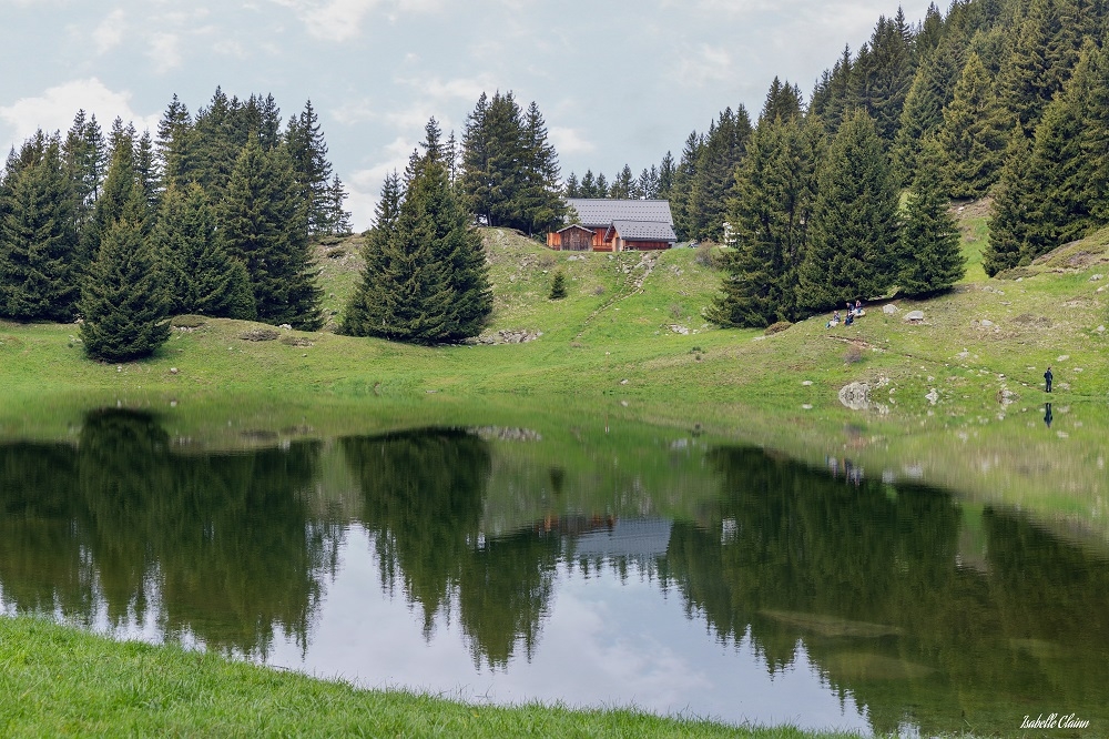 alpes r3fp.jpg