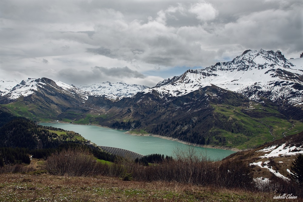 alpes r5fp.jpg