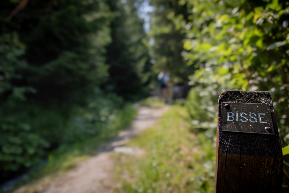 bisses-5.jpg.2dc8a8096e49a08c75d71e053105ad58.jpg