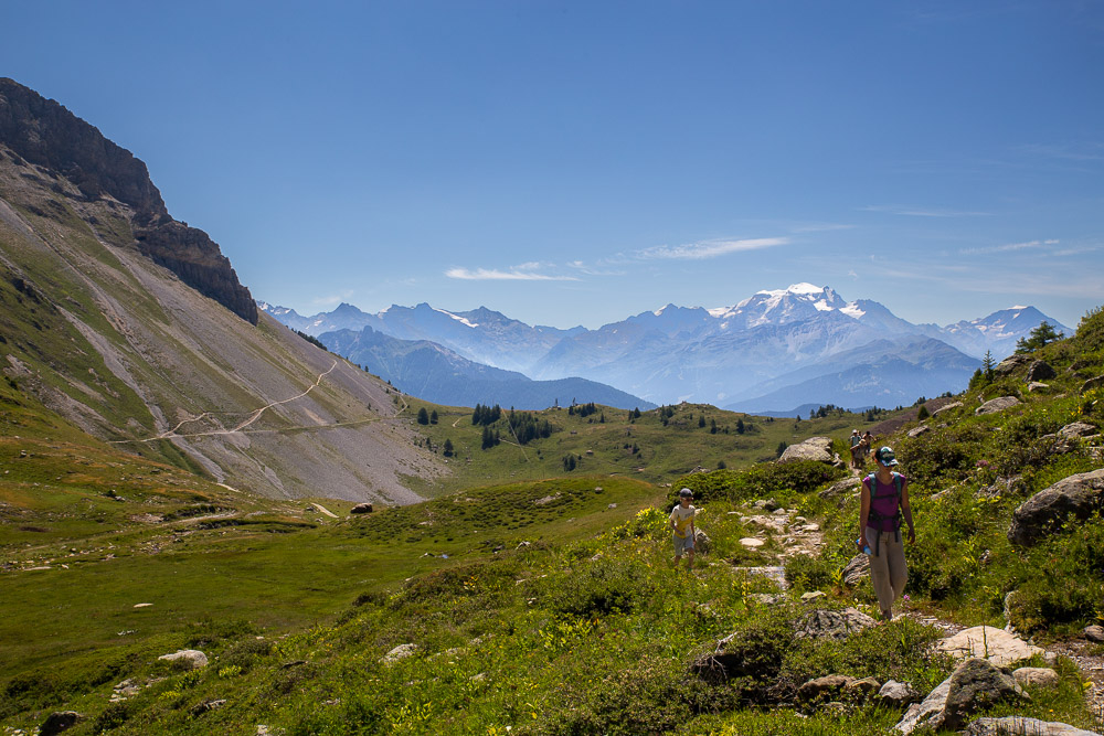chavalard-6.jpg.3ba0253a56494028453a813515e682a3.jpg