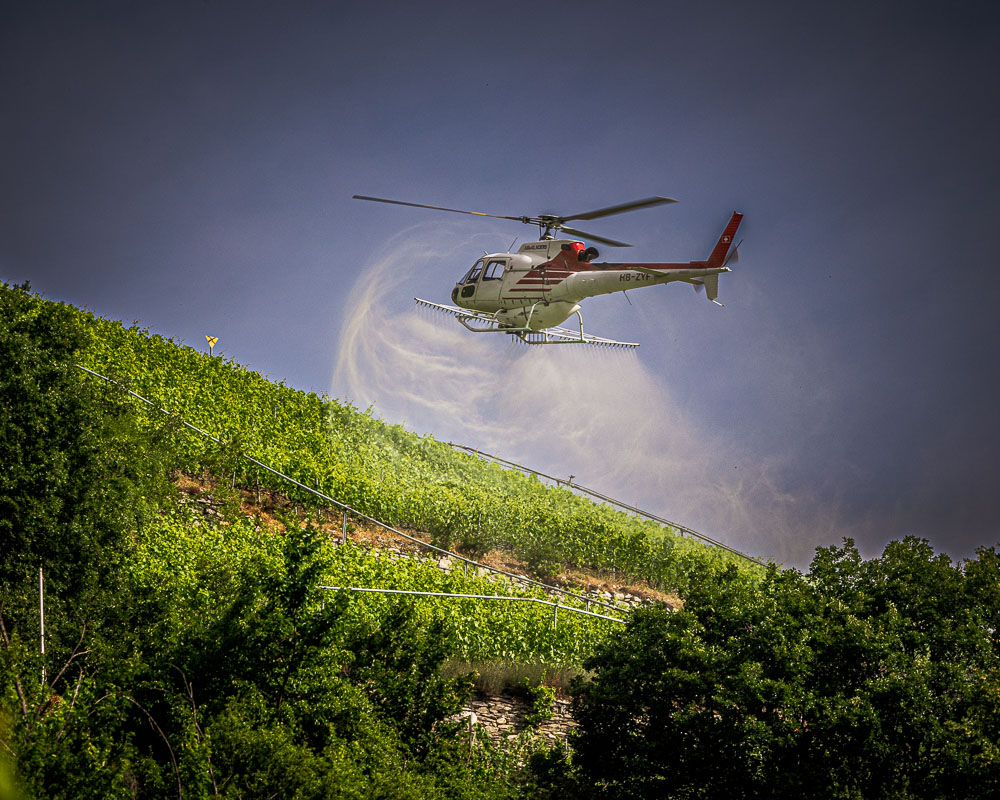helico-2.jpg.03560dc5b6ec2796f521c9745015ef01.jpg