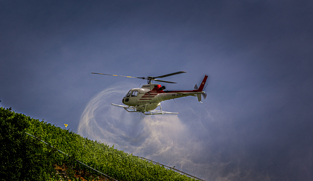 helico-3.jpg.2089fec58680fdf46bfa3d11c1714a53.jpg