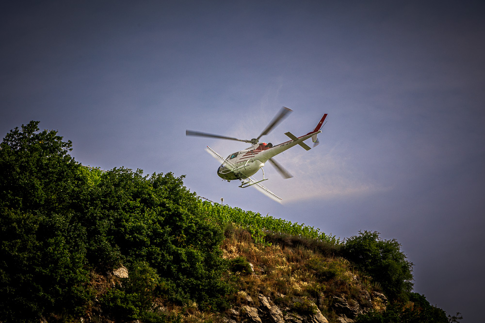 helico-4.jpg.7c67227046a127028c6de9d783117397.jpg