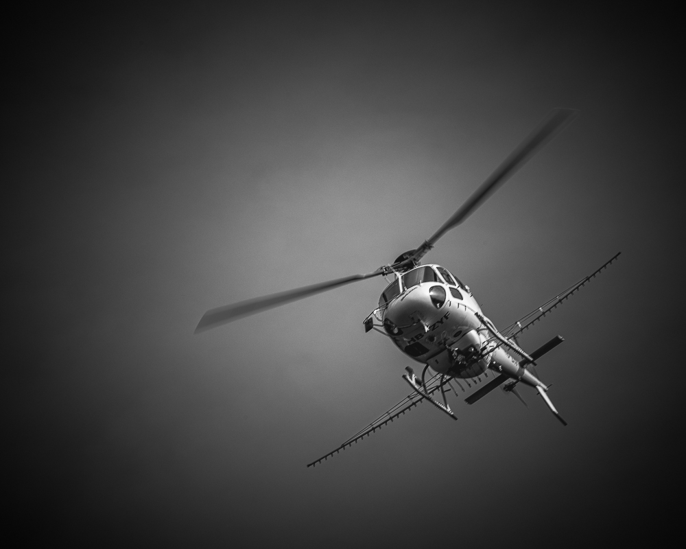 helico-5.jpg.624622dd0a32e21e08df377ab00abd39.jpg