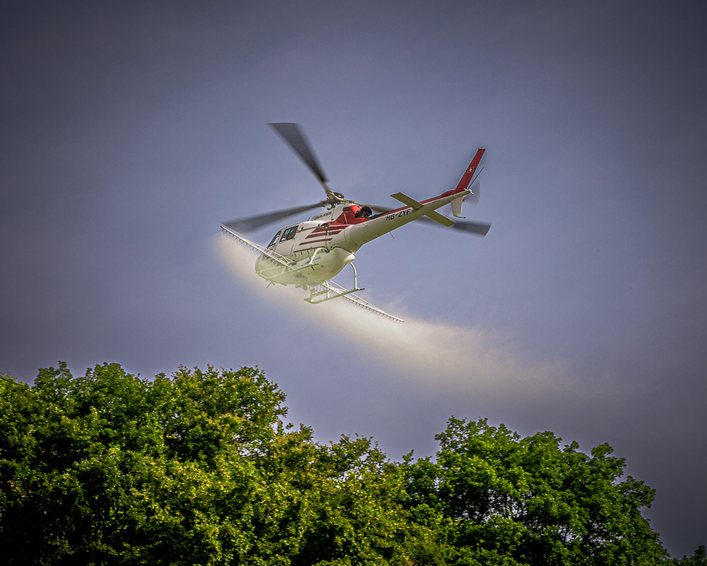 helico.jpg.7ca5d225f592371540831d730491072b.jpg
