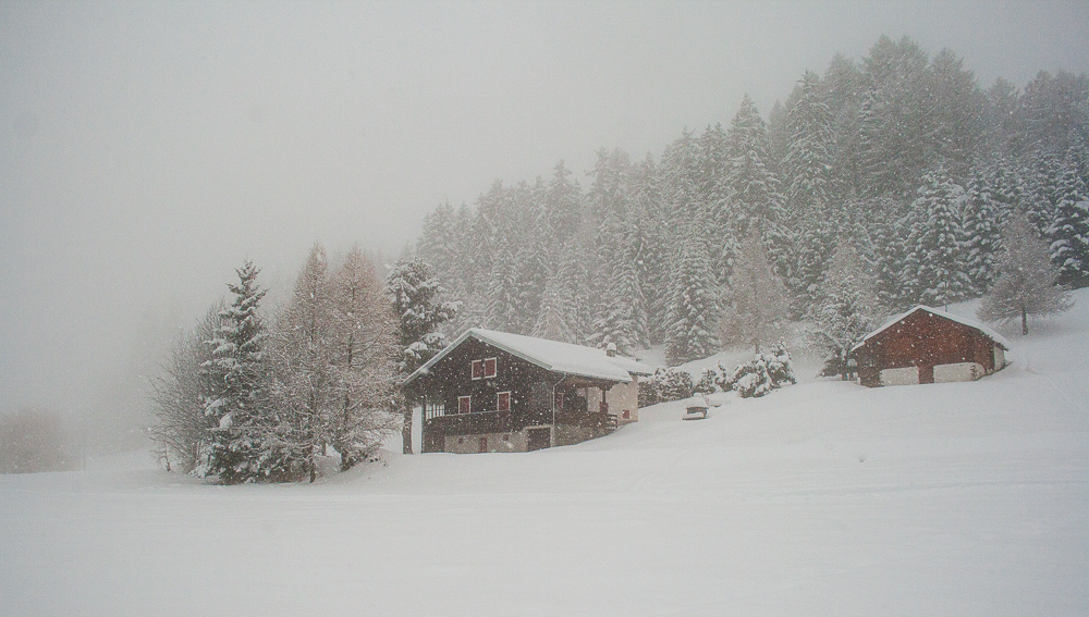 neigeg.jpg.ed78830463d5f1829512925aa628b693.jpg