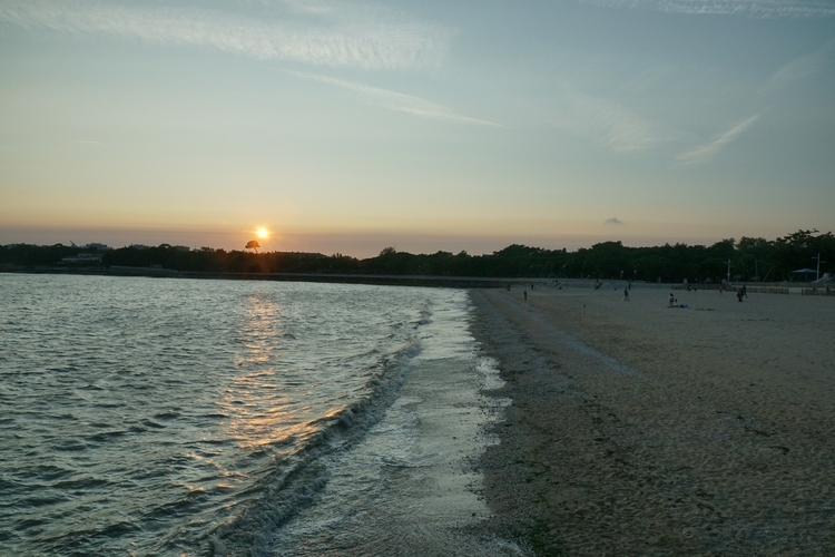 000850_A.JPG.f1c1bef4f2ca3e63e2b90fdffd0e7997.JPG