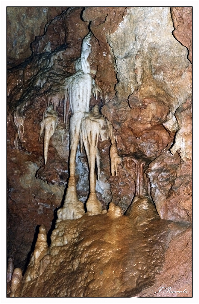 200-St.Czairesquelette.jpg.ed40ae304889776c153ca24ab1b938e8.jpg