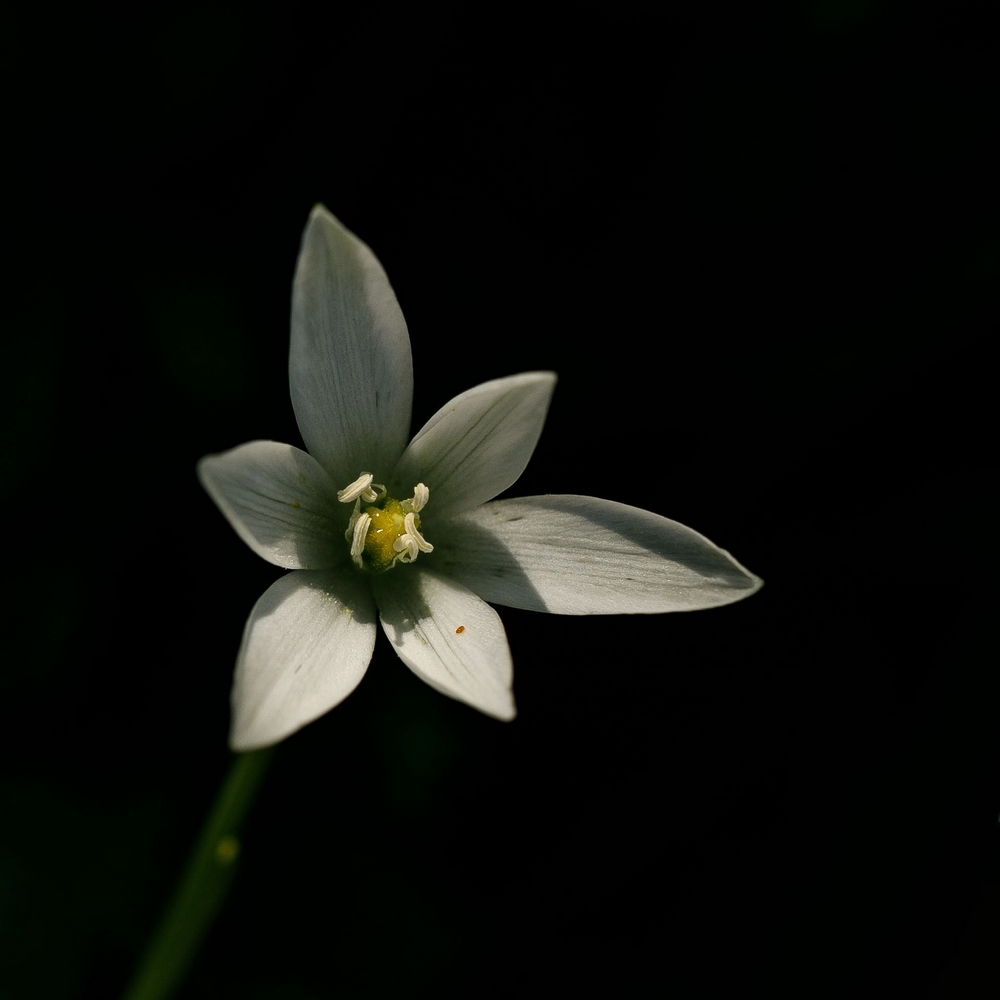 2G6A6385.jpg