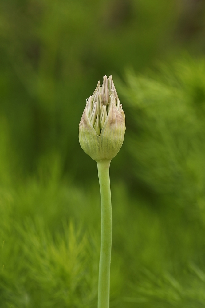 2G6A6404.JPG