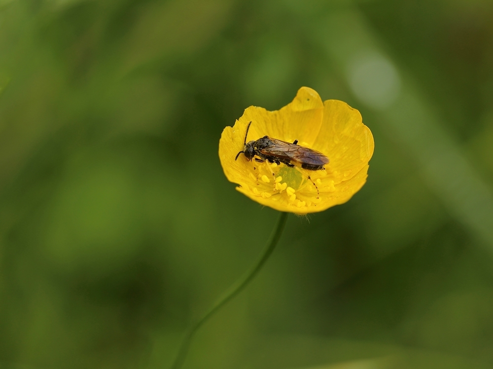 2G6A6445.JPG