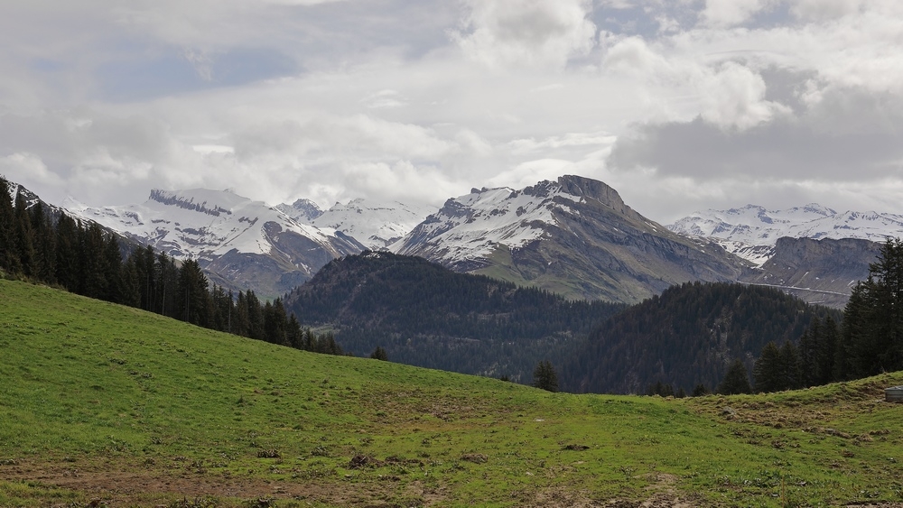 2G6A6580.JPG