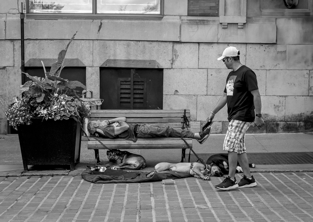 IMGP0037nb_1.JPG.b7808b8a6b67d02ec03c539446c7f352.JPG