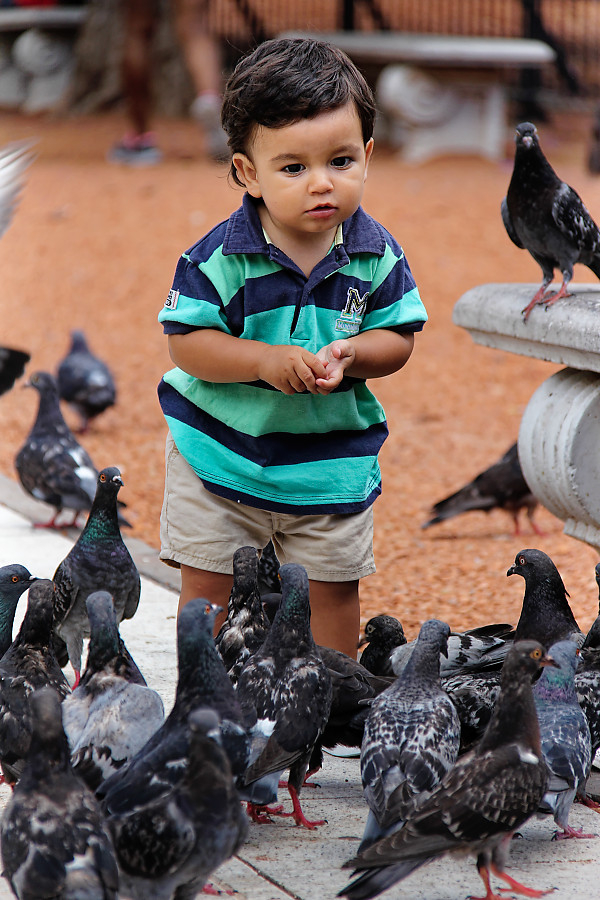 IMG_0164_DxO.jpg.f06248026229e137c857e57bfb43b296.jpg