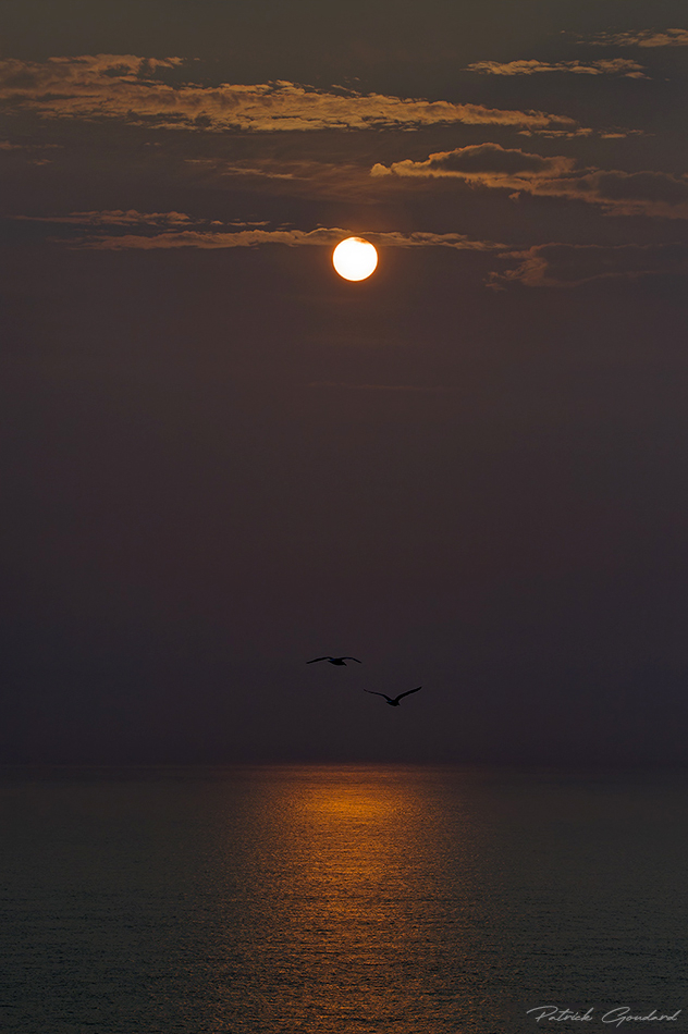 IMG_7450_coucher.jpg.7db621d3702f91c738f5f1929068fb87.jpg
