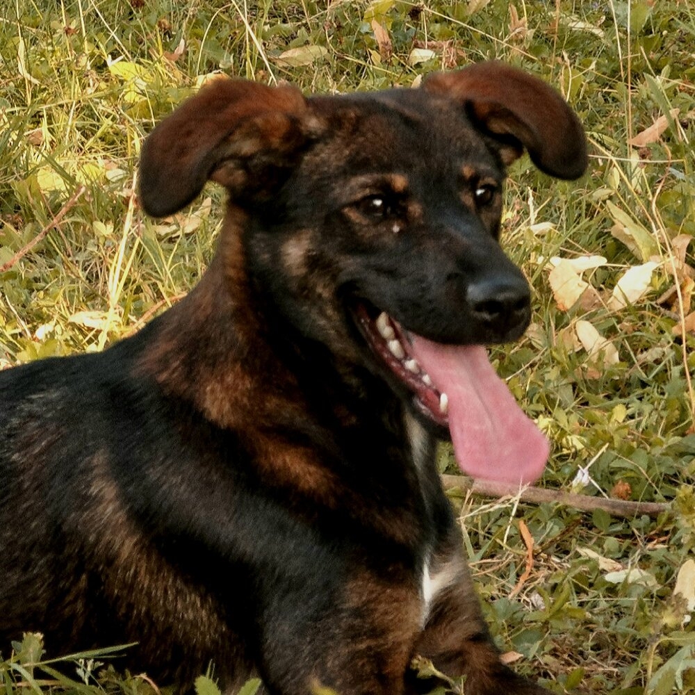IMG_8687_DxO-01.jpg.414018b7cdcf389ac8810284dbdcc3f8.jpg