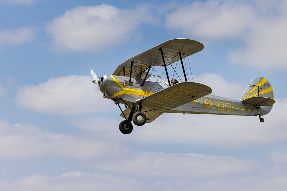 STEF3165.jpg