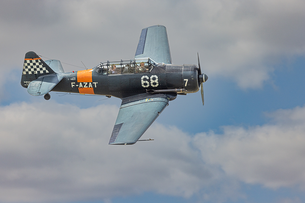 STEF3449.jpg