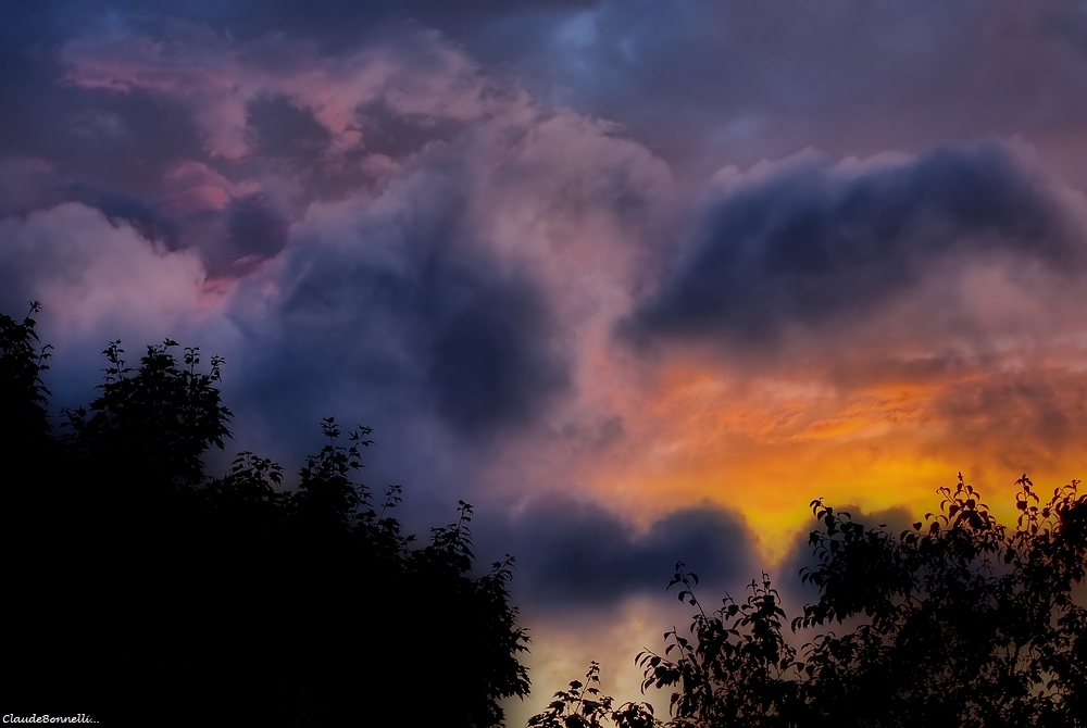 1--7038-1_filtered.jpg.e9f496fab6793a97a407231a3b52443d.jpg