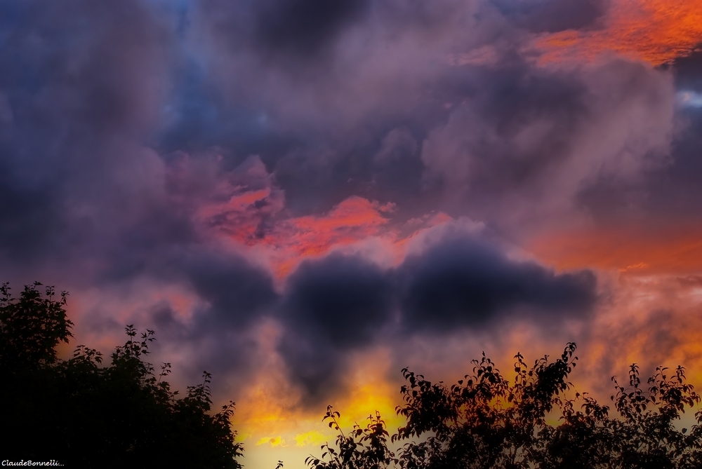 1--7047-1_filtered.jpg.e67a9bc0d9495e4f7aaa9d36efd7980a.jpg