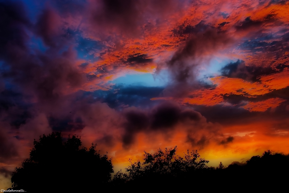 1--7055-1_filtered.jpg.3d10a6ed84abbd48e881bd7a291614a3.jpg