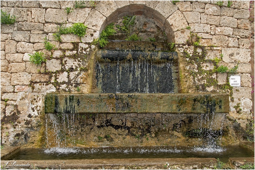 221.jpg.0c456350cf79b3a603a5ae5d449f2d48.jpg