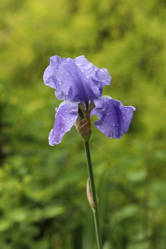 2G6A6441.JPG