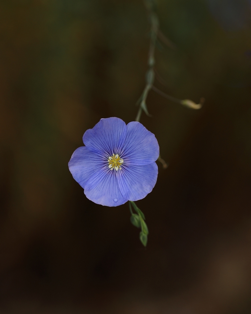 2G6A6622.JPG