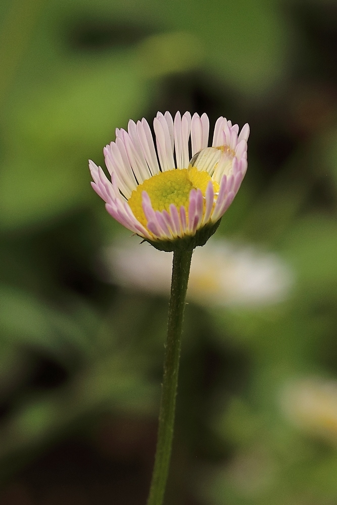 2G6A6628.JPG