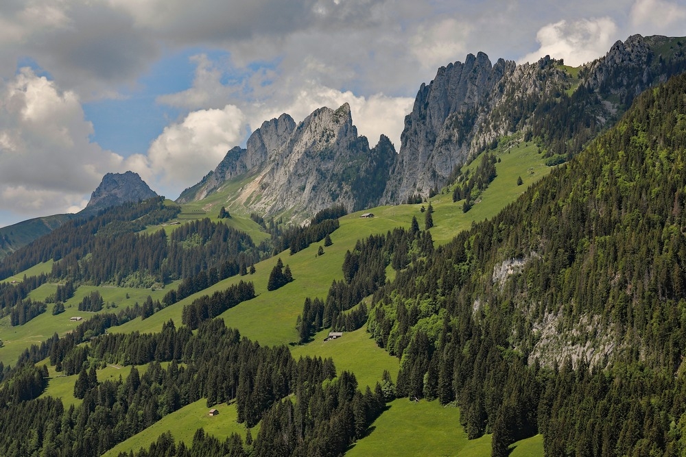2G6A7361.jpg