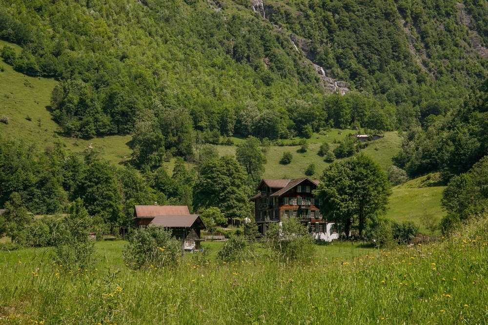 2G6A7387.jpg