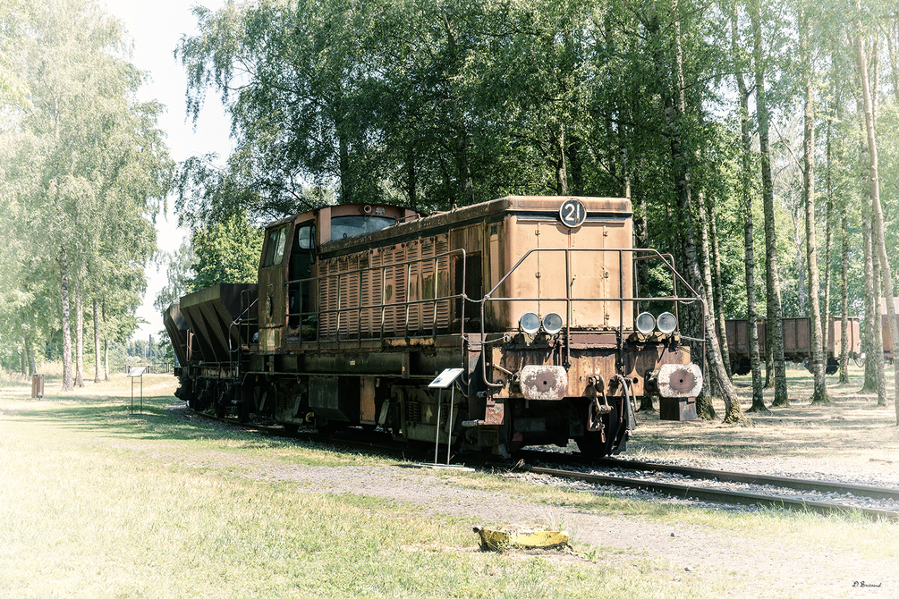 AP6A6143 copie.jpg
