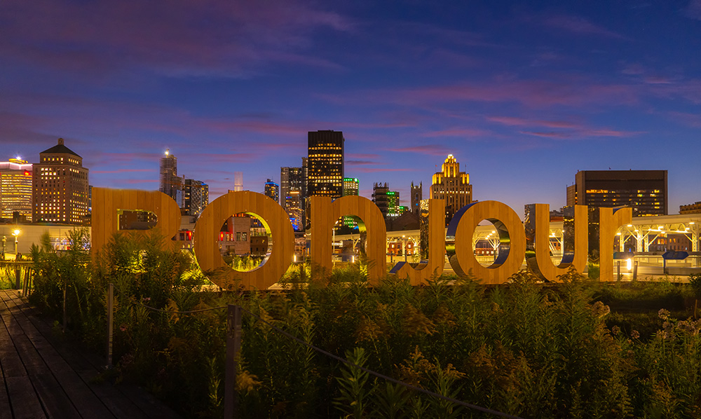DSD01382web.jpg.9f3d2faa55e1cccb27a7cca60d415691.jpg