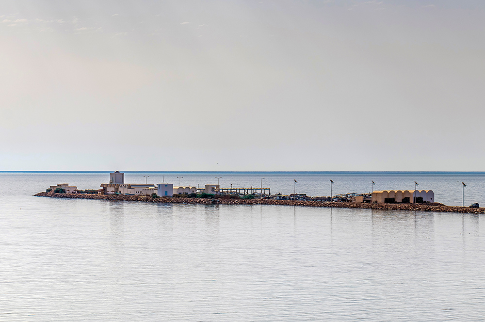 IMG_0906Boughrara-Mdenine.jpg.ff4fb18f50ce5314338a6e54d8bdadec.jpg