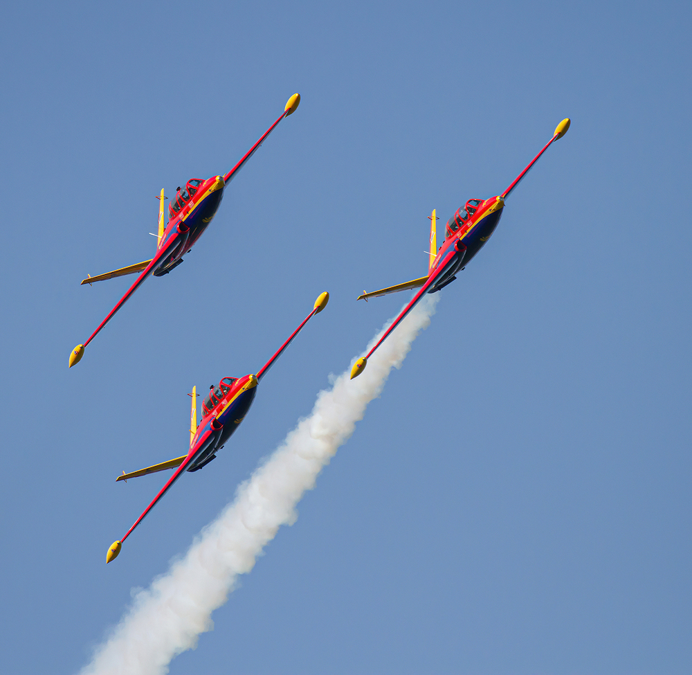 IMG_4937-export-sharpen-Motion.jpg.bef078e181d66a0332774c96396e245a.jpg