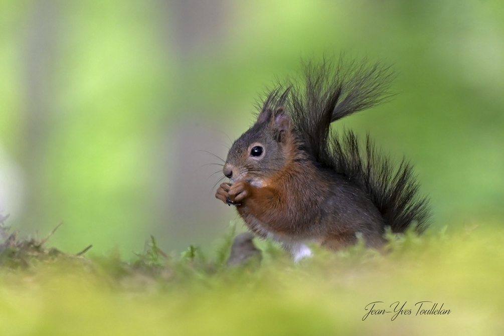 _DSC1823 copie@@ (Copier).jpg
