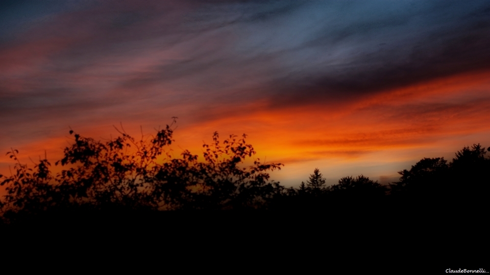 1--7145-11.jpg.742a038c5dc28e2aa0ca0af41efe55ac.jpg