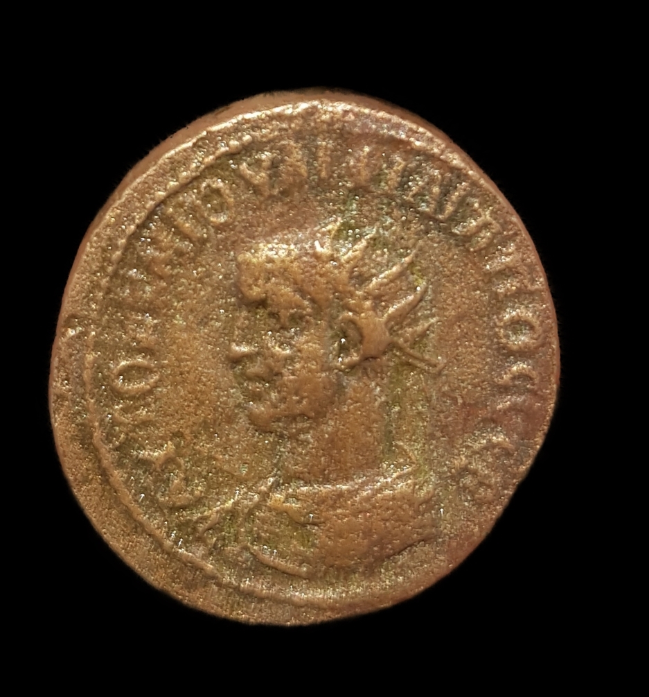 AH1 avers_inPixio.jpg