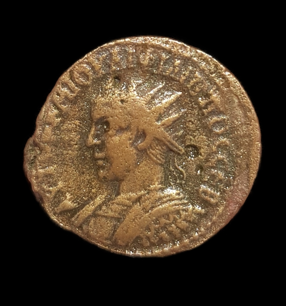 AH6 avers_inPixio.jpg