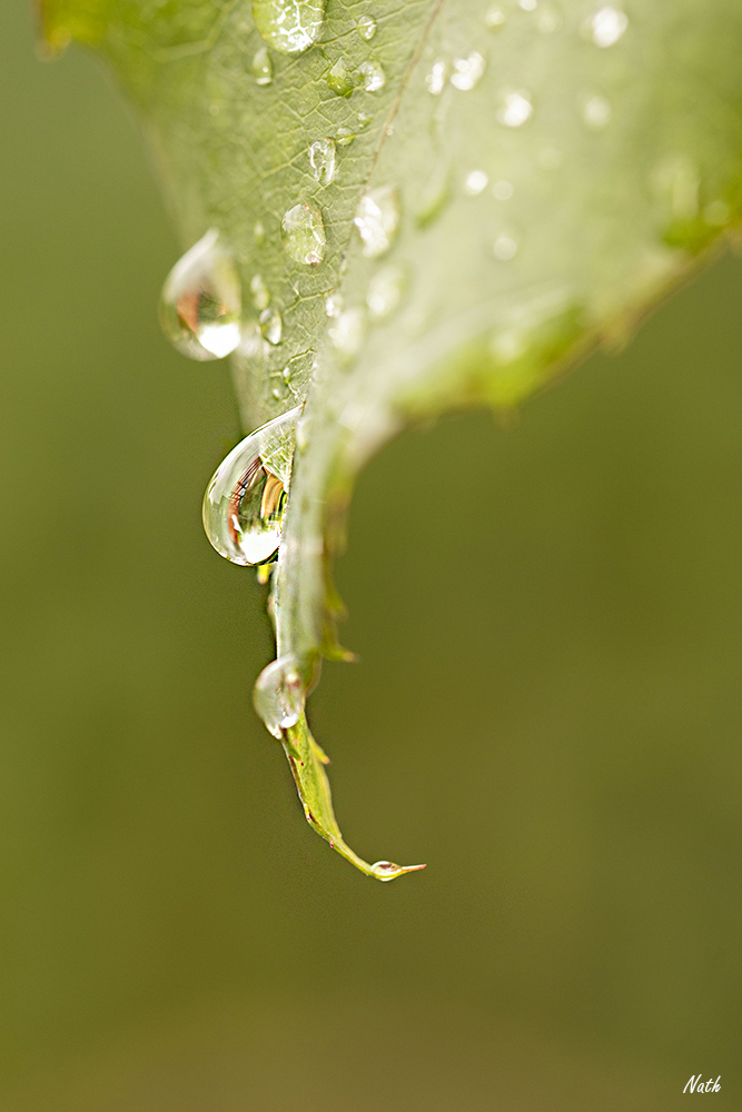 Aprslapluie.jpg.7363c0e3448d5c42e2845bb7fa697941.jpg