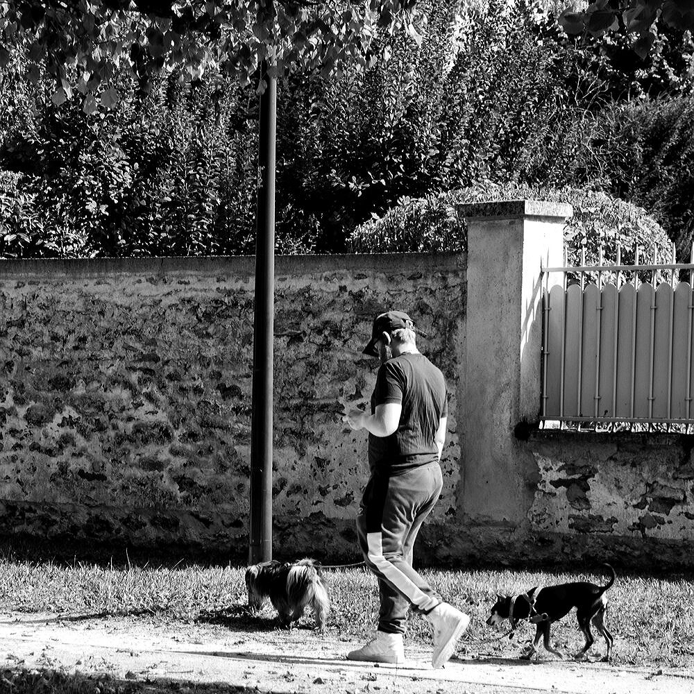 DSC00021_DxO-01-02.jpg.b857467aba9b2e1fb9c290db5d4d9b42.jpg