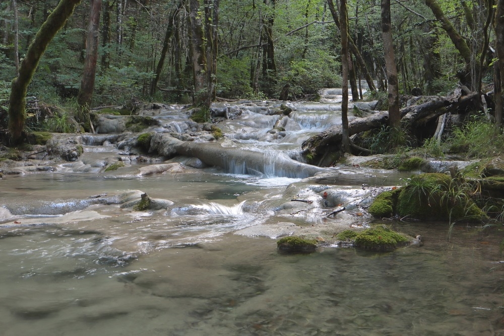 IMG_5654très netluplus.JPG