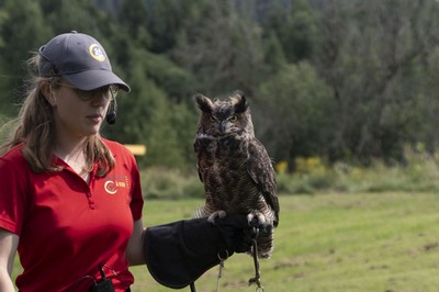 Différent d'un paysage