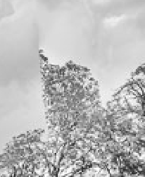 image.png.fd692300da667f155235f597ee9154de.png