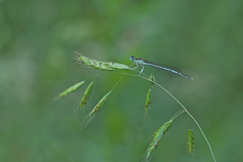 2G6A7122.JPG